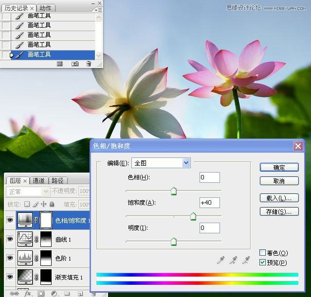 Photoshop合成色彩艳丽的荷花图,PS教程,思缘教程网