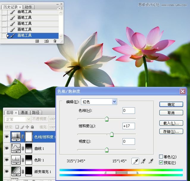 Photoshop合成色彩艳丽的荷花图,PS教程,思缘教程网