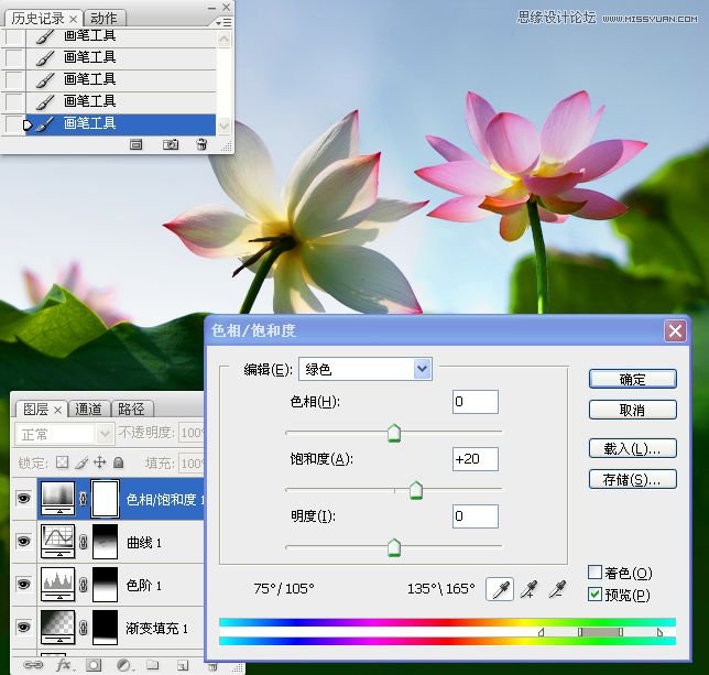 Photoshop合成色彩艳丽的荷花图,PS教程,思缘教程网