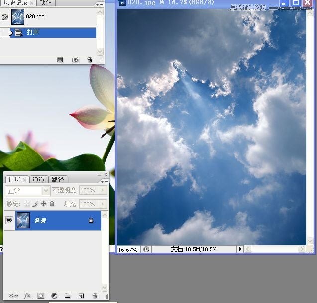 Photoshop合成色彩艳丽的荷花图,PS教程,思缘教程网