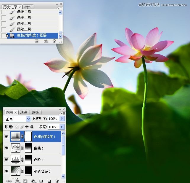 Photoshop合成色彩艳丽的荷花图,PS教程,思缘教程网