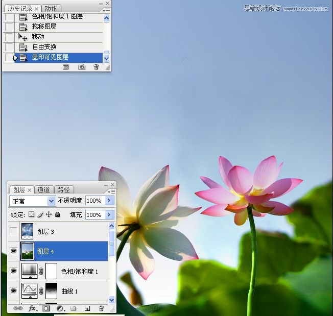Photoshop合成色彩艳丽的荷花图,PS教程,思缘教程网