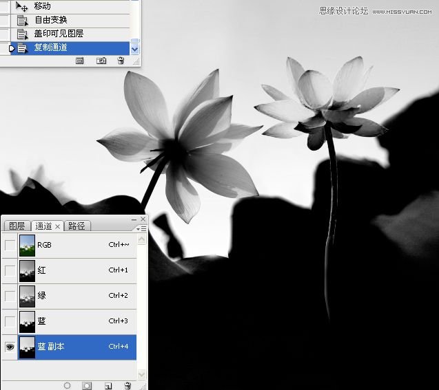 Photoshop合成色彩艳丽的荷花图,PS教程,思缘教程网