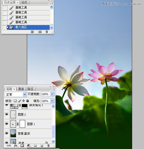 Photoshop合成色彩艳丽的荷花图,PS教程,思缘教程网
