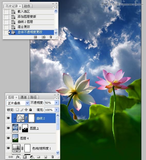 Photoshop合成色彩艳丽的荷花图,PS教程,思缘教程网