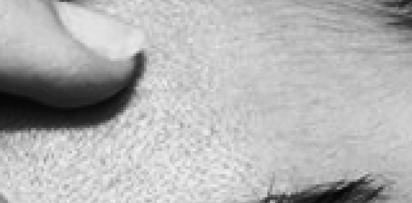 PS教程 <a href='http://www.86ps.com/'><font color=''>Photoshop</font></a>教程